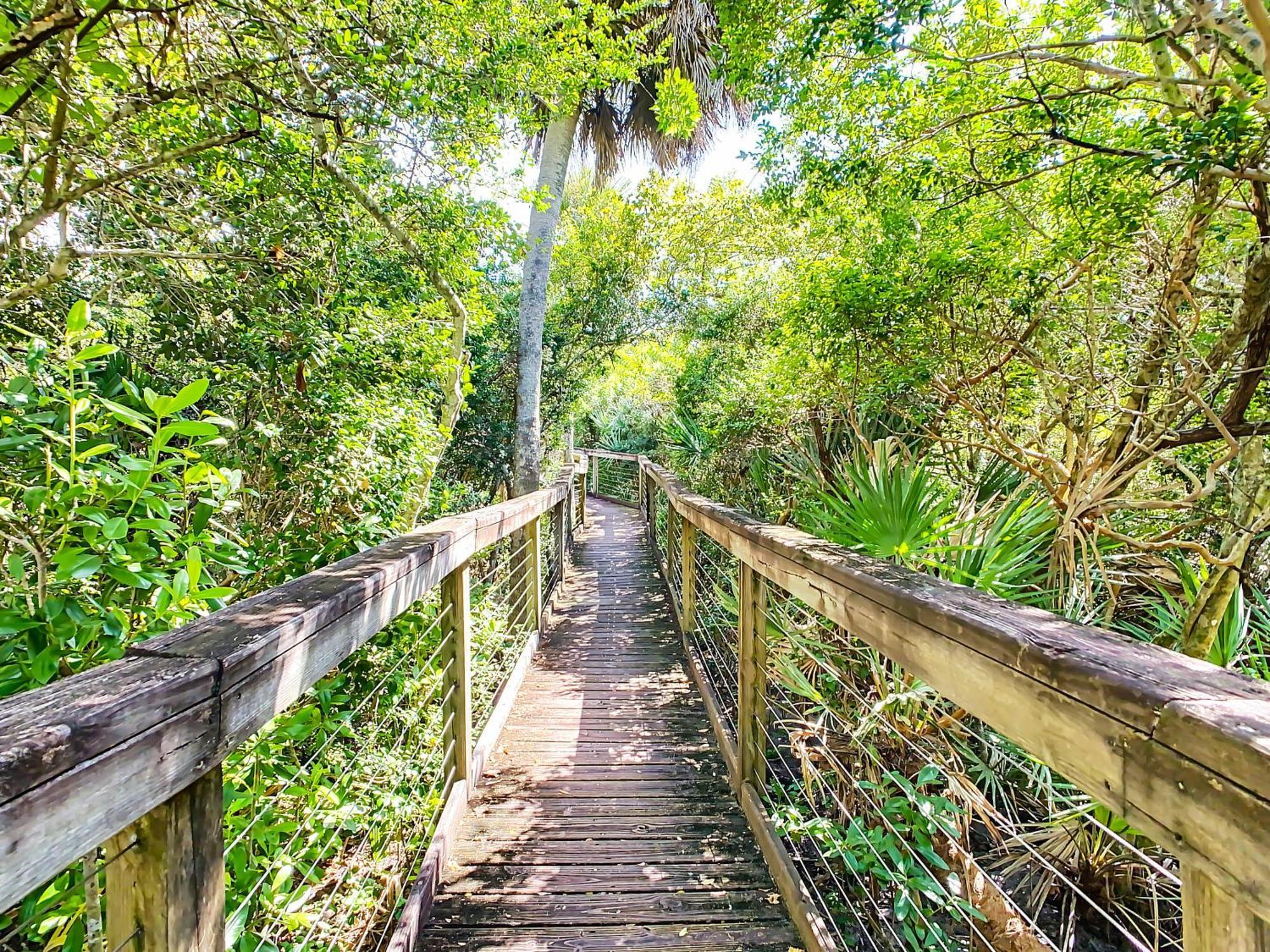 Take In These Beautiful Views Of The Ocean In Gorgeous 22 Condo. Ow1-302 * New Smyrna Beach