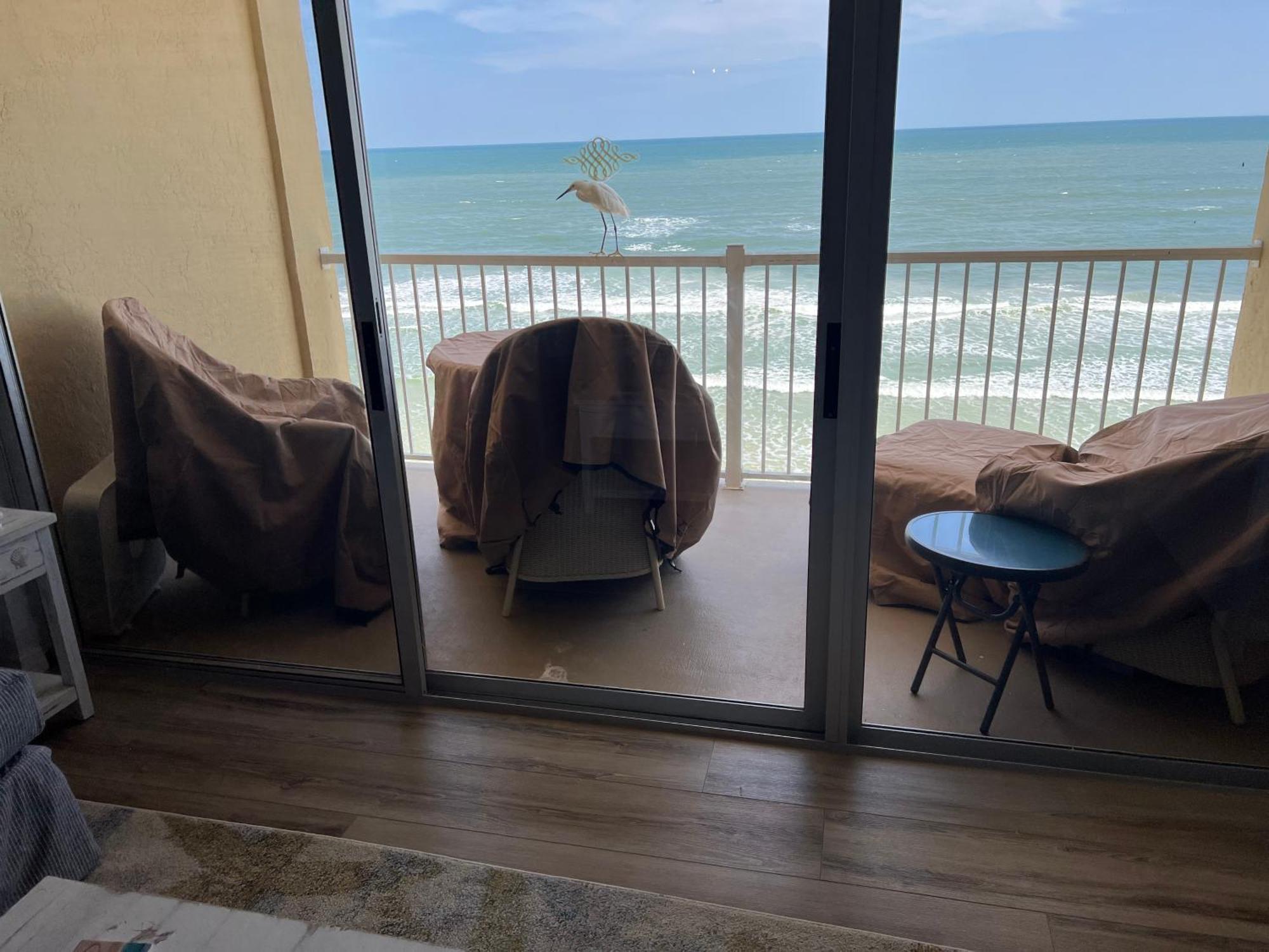 Apartment Ponce De Leon Towers *