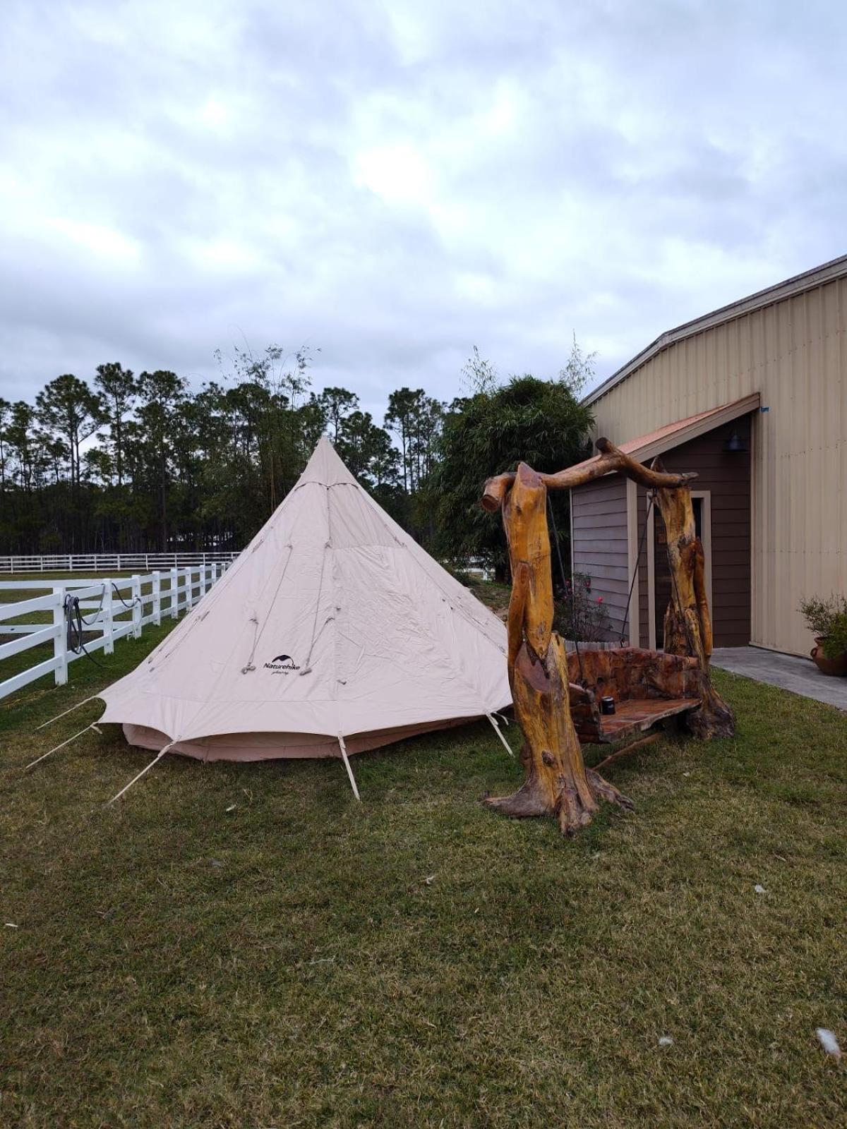 Angels Animal Sanctuary New Smyrna Beach