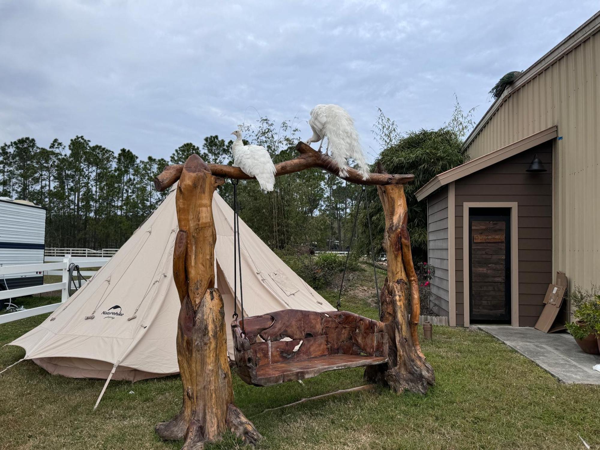 Luxury tent Angels Animal Sanctuary *