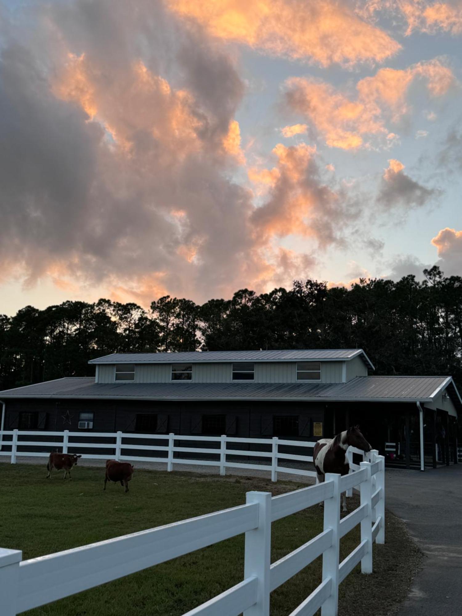 Luxury tent Angels Animal Sanctuary New Smyrna Beach