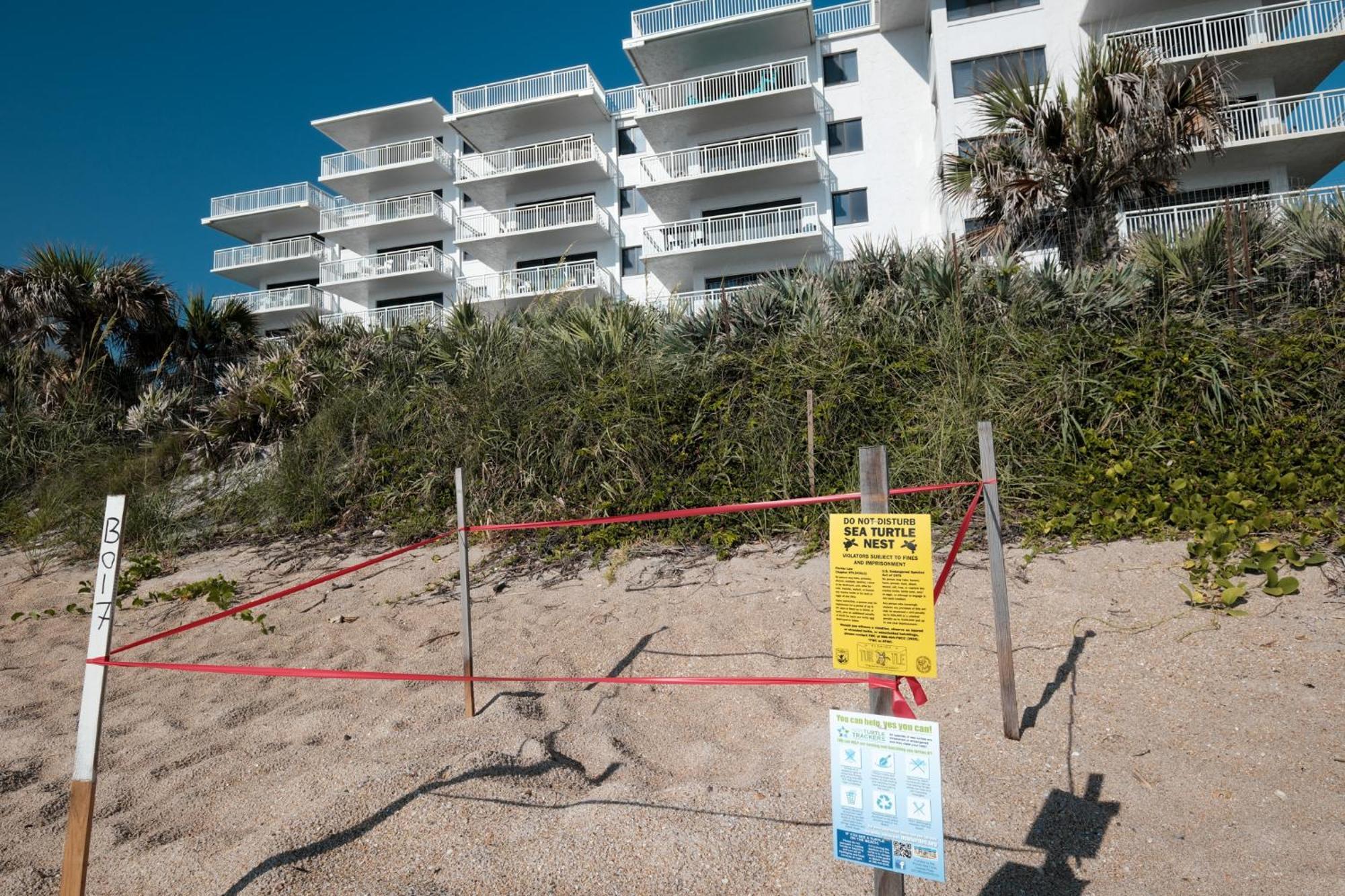 Oceanfront Corner Views With Wrap Around Balcony And Complex Pool Holiday home New Smyrna Beach