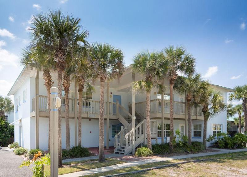 Coconut Palms New Smyrna Beach