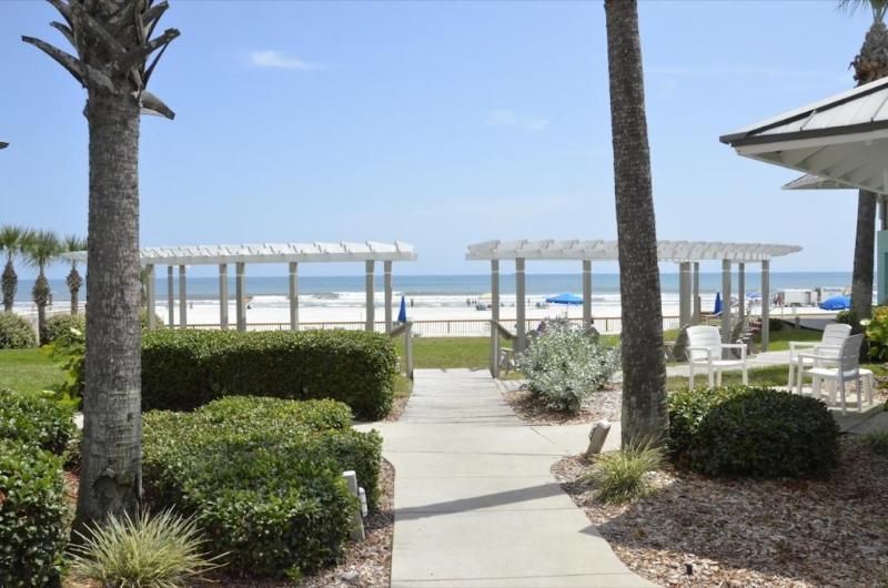 Coconut Palms 2*