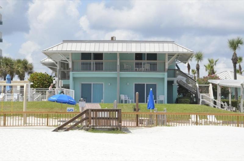 Coconut Palms New Smyrna Beach