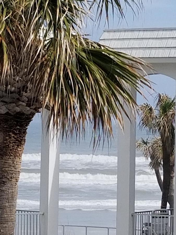 Paradise In New Smyrna Florida Apartment *